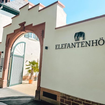 Apartment In Den Elefantenhoefen Вормс Екстериор снимка